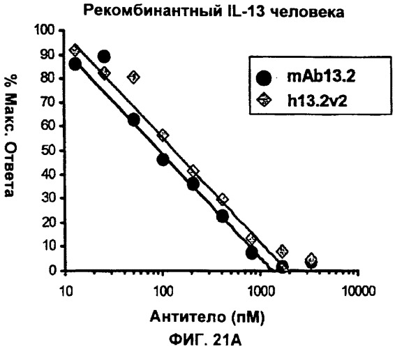 Антитела против интерлейкина-13 человека и их применение (патент 2427589)