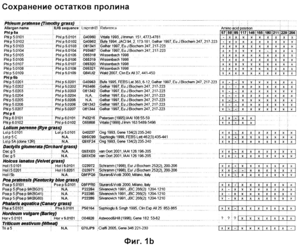 Варианты группы 5 аллергенов злаковых со сниженной аллергенностью вследствие мутагенеза остатков пролина (патент 2575606)