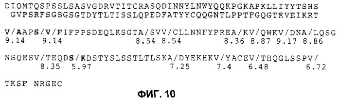 Бактерия е.coli, продуцирующая гетерологичный полипептид, и способ продуцирования полипептида (патент 2287574)