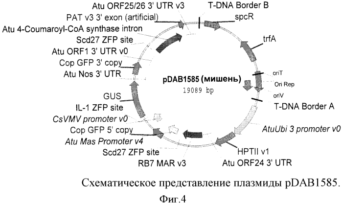 Опосредованная наночастицами доставка сиквенс-специфичных нуклеаз (патент 2556376)