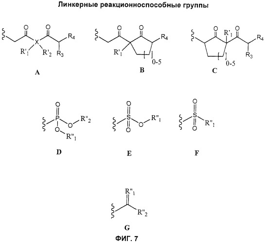 Соединения агонисты рецептора глюкагоноподобного белка-1 (glp-1r) (патент 2432361)
