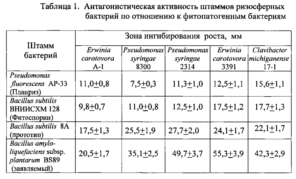 Штамм бактерий bacillus amyloliquefaciens subsp. plantarum bs89 в качестве средства повышения продуктивности растений и их защиты от болезней (патент 2599416)