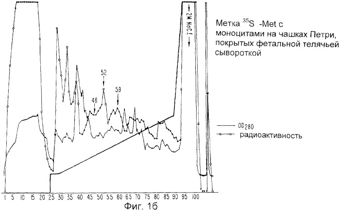 Ингибитор интерлейкина-1, способ его получения, молекула днк, кодирующая ингибитор интерлейкина-1 и его предшественник (патент 2286388)