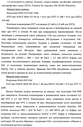 Биспецифические антитела к erb-b и их применение для лечения опухолей (патент 2349340)