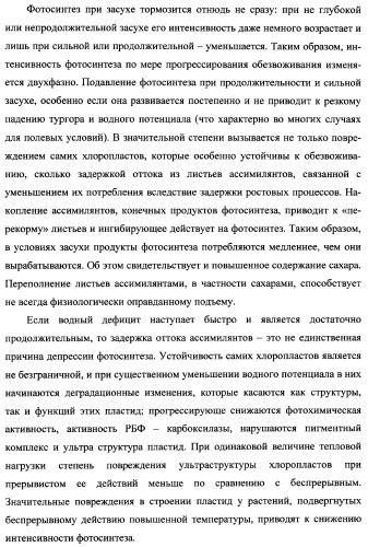 Способ возделывания яровой пшеницы предпочтительно в зоне светло-каштановых почв нижнего поволжья (варианты) (патент 2348137)