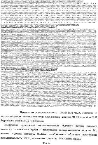 Способ получения рекомбинантной вакцины (патент 2444570)