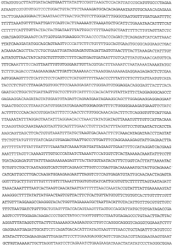 Применение s1p (патент 2362565)