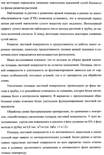 Способ возделывания яровой пшеницы предпочтительно в зоне светло-каштановых почв нижнего поволжья (варианты) (патент 2348137)