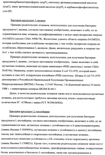 Способ получения l-треонина с использованием бактерии, принадлежащей к роду escherichia, модифицированной таким образом, что в ней нарушена способность к образованию ворсинок типа &quot;керли&quot; (патент 2338782)