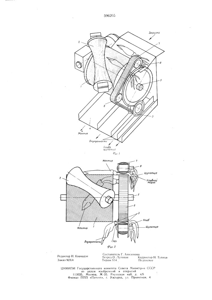 Машина для разделки кальмара (патент 596205)