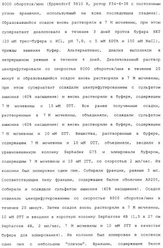 Композиции, содержащие cpg-олигонуклеотиды и вирусоподобные частицы, для применения в качестве адъювантов (патент 2322257)