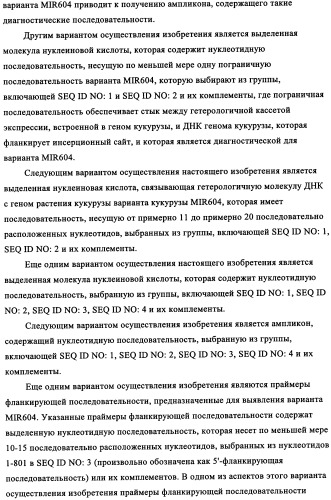 Вариант кукурузы mir604 (патент 2351122)