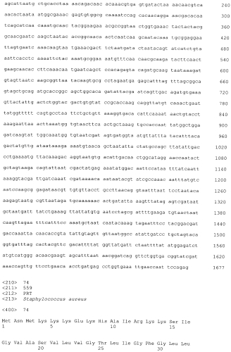 Стабильные иммуногенные композиции антигенов staphylococcus aureus (патент 2570730)