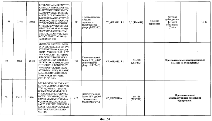 Бактериофаг, обладающий активностью против pseudomonas aeruginosa, белки бактериофага и способы их применения (патент 2580248)