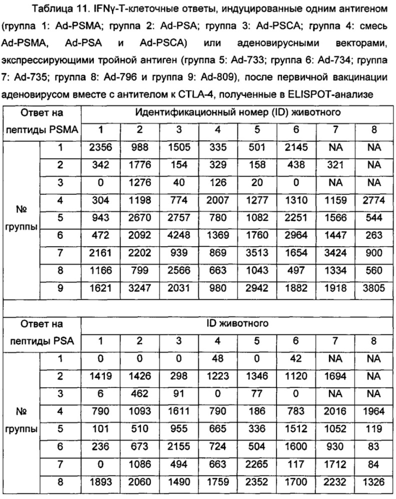 Векторы для экспрессии простатоассоциированных антигенов (патент 2650860)