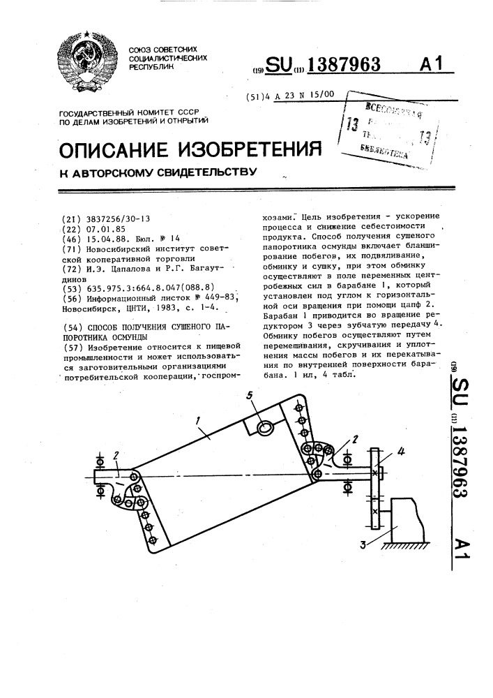 Способ получения сушеного папоротника осмунды (патент 1387963)