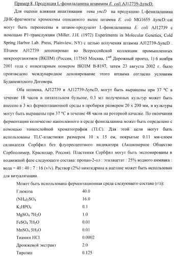 Способ получения l-треонина с использованием бактерии, принадлежащей к роду escherichia, в которой инактивирован ген yncd (патент 2396337)