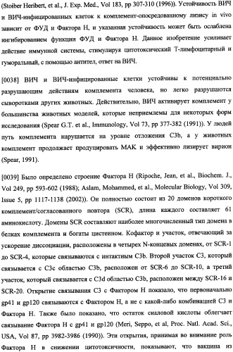 Иммуногенная композиция и способ разработки вакцины, основанной на участках связывания фактора н (патент 2364413)