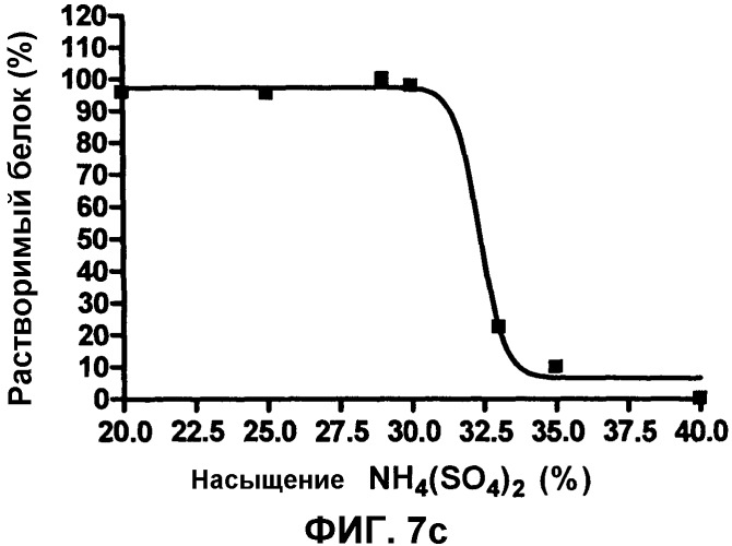 Стабильные и растворимые антитела, ингибирующие vegf (патент 2531523)