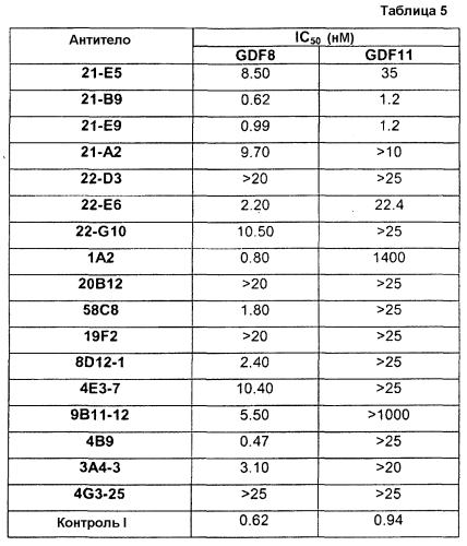 Антитела против gdf8 человека (патент 2567805)