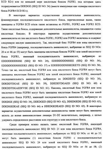 Мутеины кислотной зоны внеклеточного домена рецептора фактора роста фибробластов (патент 2509774)