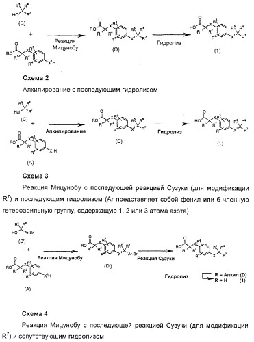 Производные фенилалкановой кислоты и фенилоксиалкановой кислоты, их применение и содержащая их фармацевтическая композиция (патент 2323929)