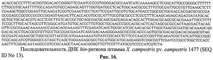 Способ идентификации и дифференциации прокариотических организмов (патент 2486251)
