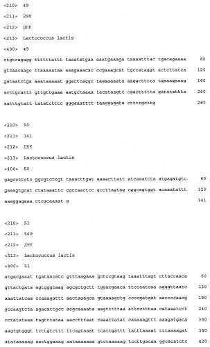 Промоторы lactococcus и их применение: (патент 2495129)