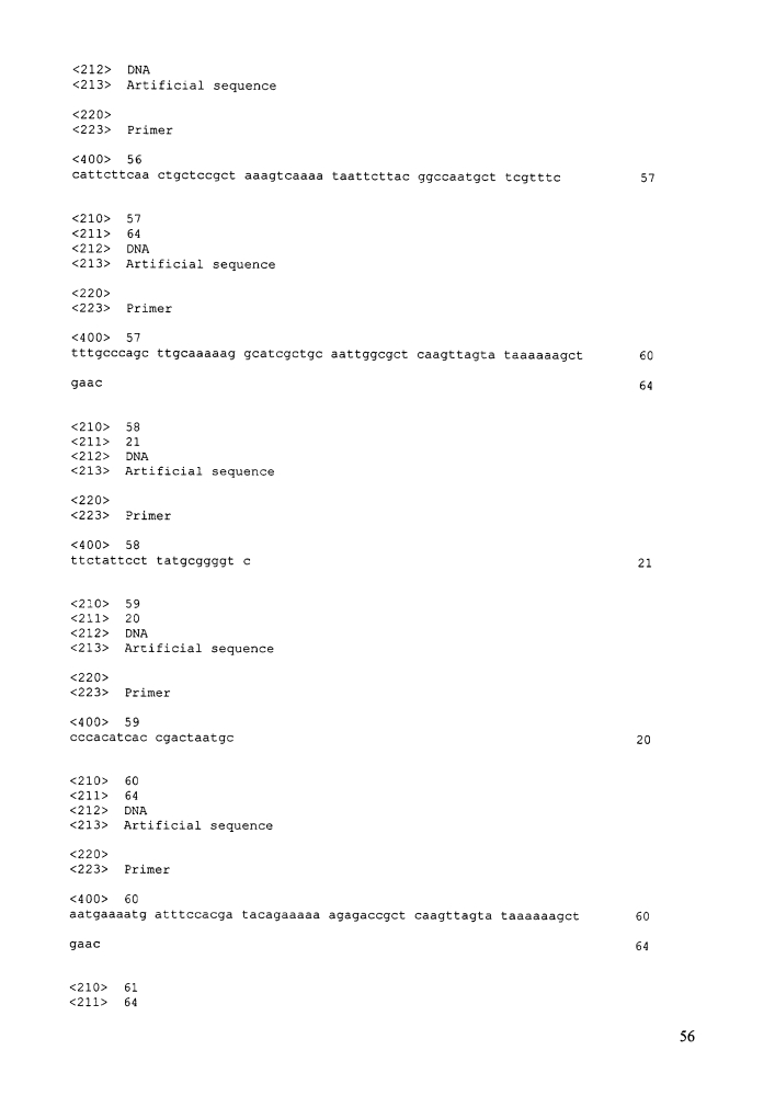 Штамм бактерий escherichia coli - продуцент янтарной кислоты (варианты) и способ получения янтарной кислоты с использованием этого штамма (патент 2603004)