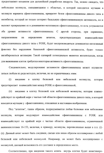 Сфингозинкиназа (варианты), нуклеиновая кислота, ее кодирующая (варианты), и их применение (патент 2326945)