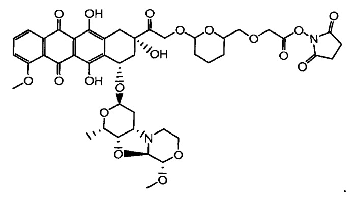 Конъюгаты производного антрациклина, способы их получения и их применение в качестве противоопухолевых соединений (патент 2523419)
