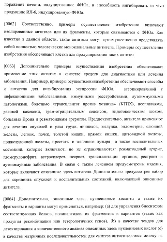 Антитела, специфичные к фактору некроза опухолей, и их применение (патент 2377253)