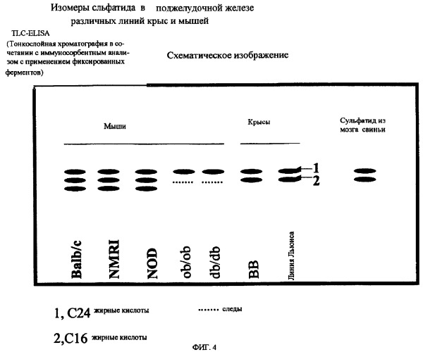 Способ лечения диабета (патент 2266123)