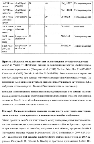 Растения, имеющие улучшенные характеристики роста, и способы их получения (патент 2463352)