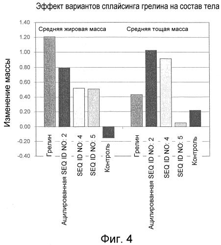 Применение варианта сплайсинга грелина для лечения кахексии, и/или анорексии, и/или анорексии-кахексии, и/или нарушения питания, и/или липодистрофии, и/или мышечного истощения, и/или стимуляции аппетита (патент 2470940)