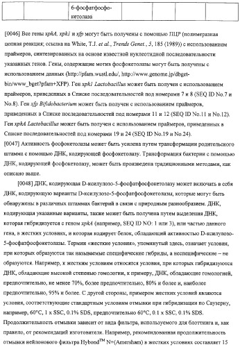 Использование фосфокетолазы для продукции полезных метаболитов (патент 2322496)