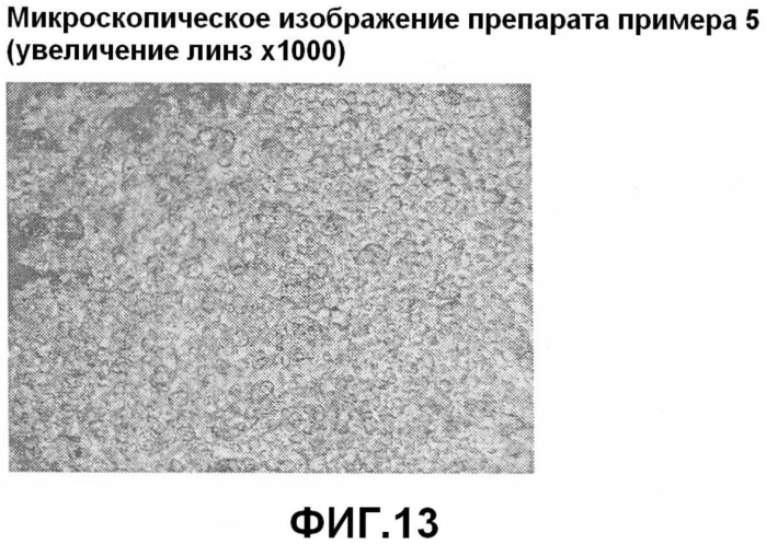 Препарат в форме пленки и способ его получения (патент 2572702)