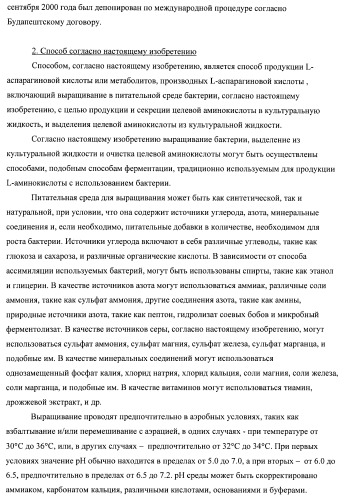 Бактерия семейства enterobacteriaceae - продуцент l-аспарагиновой кислоты или метаболитов, производных l-аспарагиновой кислоты, и способ получения l-аспарагиновой кислоты или метаблитов, производных l-аспарагиновой кислоты (патент 2472853)