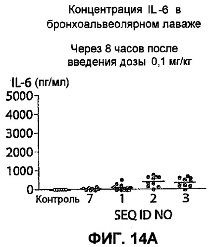 Полумягкие иммуностимулирующие олигонуклеотиды с-класса (патент 2393223)