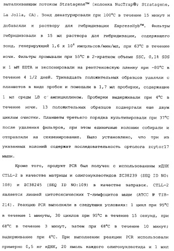 Новый лиганд рецептора цитокина zcytor17 (патент 2360923)