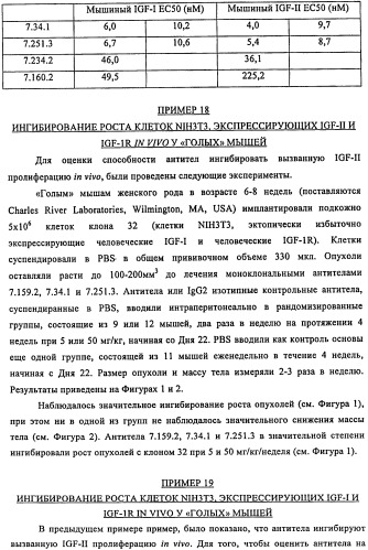 Связывающие протеины, специфичные по отношению к инсулин-подобным факторам роста, и их использование (патент 2492185)