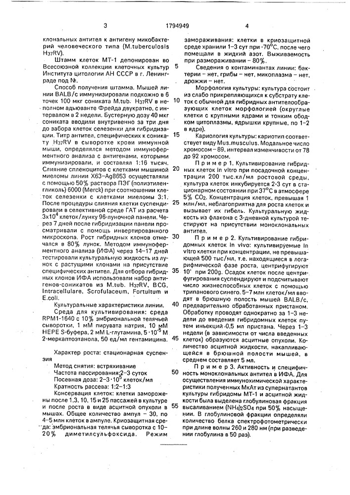 Штамм гибридных культивируемых клеток mus мusсulus l- продуцент моноклональных антител к антигену микобактерий человеческого типа мyсовастеriuм тuвеrсulоsis н @ rv с молекулярной массой 20 к д @ (патент 1794949)