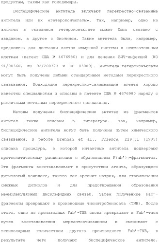 Антитела против вируса гепатита с (патент 2462475)