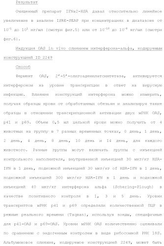 Слитые белки альбумина (патент 2369404)