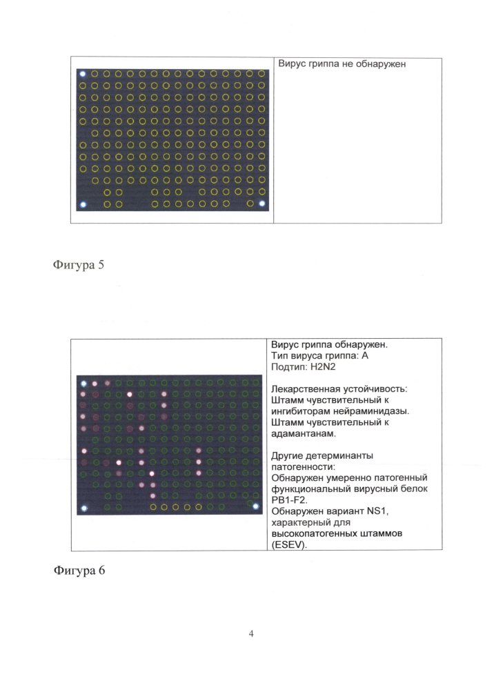 Способ идентификации рнк вирусов гриппа а и в с одновременным определением вариантов гемагглютинина и нейраминидазы вируса гриппа а, идентификацией генетических маркеров патогенности и устойчивости к противогриппозным препаратам на биологических микрочипах, биочип, набор олигонуклеотидных зондов, используемые в способе (патент 2603000)