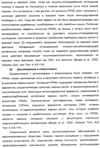 Соединения, активные в отношении ppar (рецепторов активаторов пролиферации пероксисом) (патент 2419618)