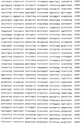 Применение s1p (патент 2362565)