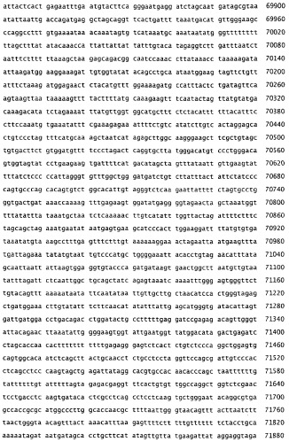 Применение s1p (патент 2362565)