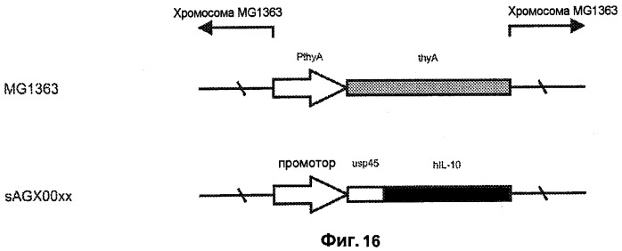 Промоторы lactococcus и их применение: (патент 2495129)