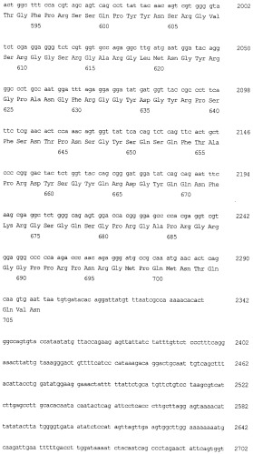 Способ обнаружения злокачественных опухолей (патент 2519089)